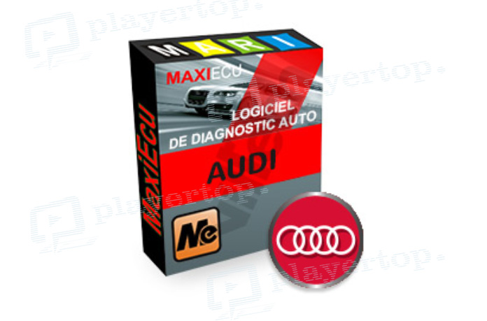 logiciel diagnostic auto audi